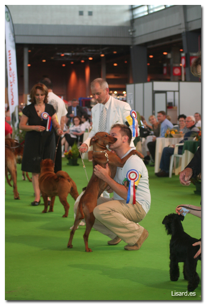 parisdogshow