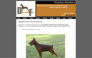 Pinscher Miniatura -- Desperta Ferro