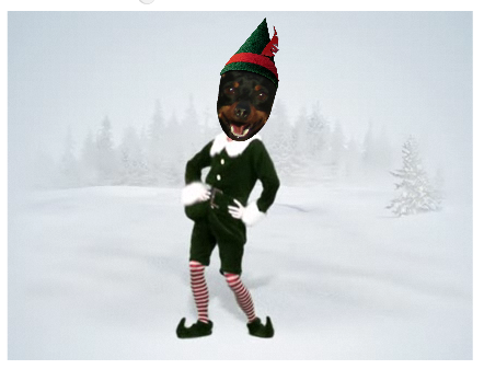 Elf Yourself