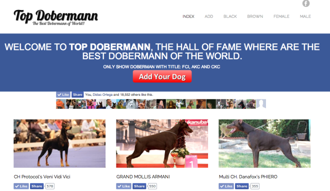 Top dobermann