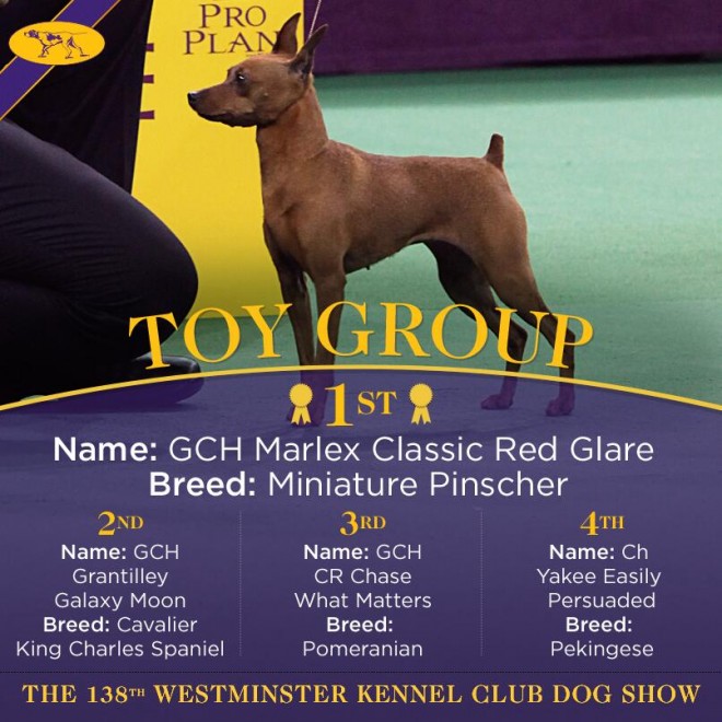 GCH Marlex Classic Red Glare