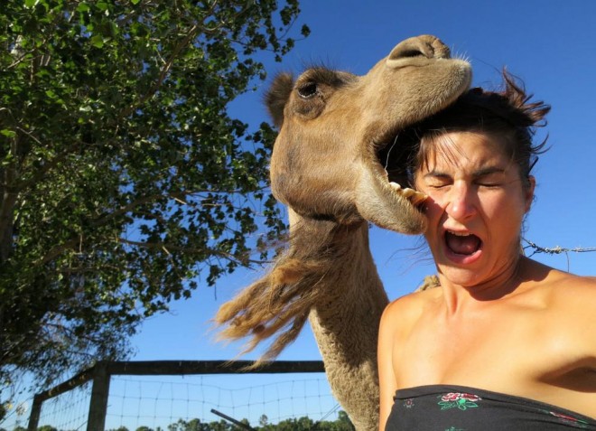 selfie bestial