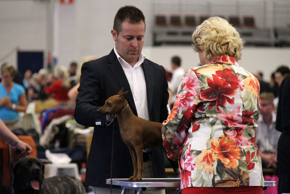 World Dog show 