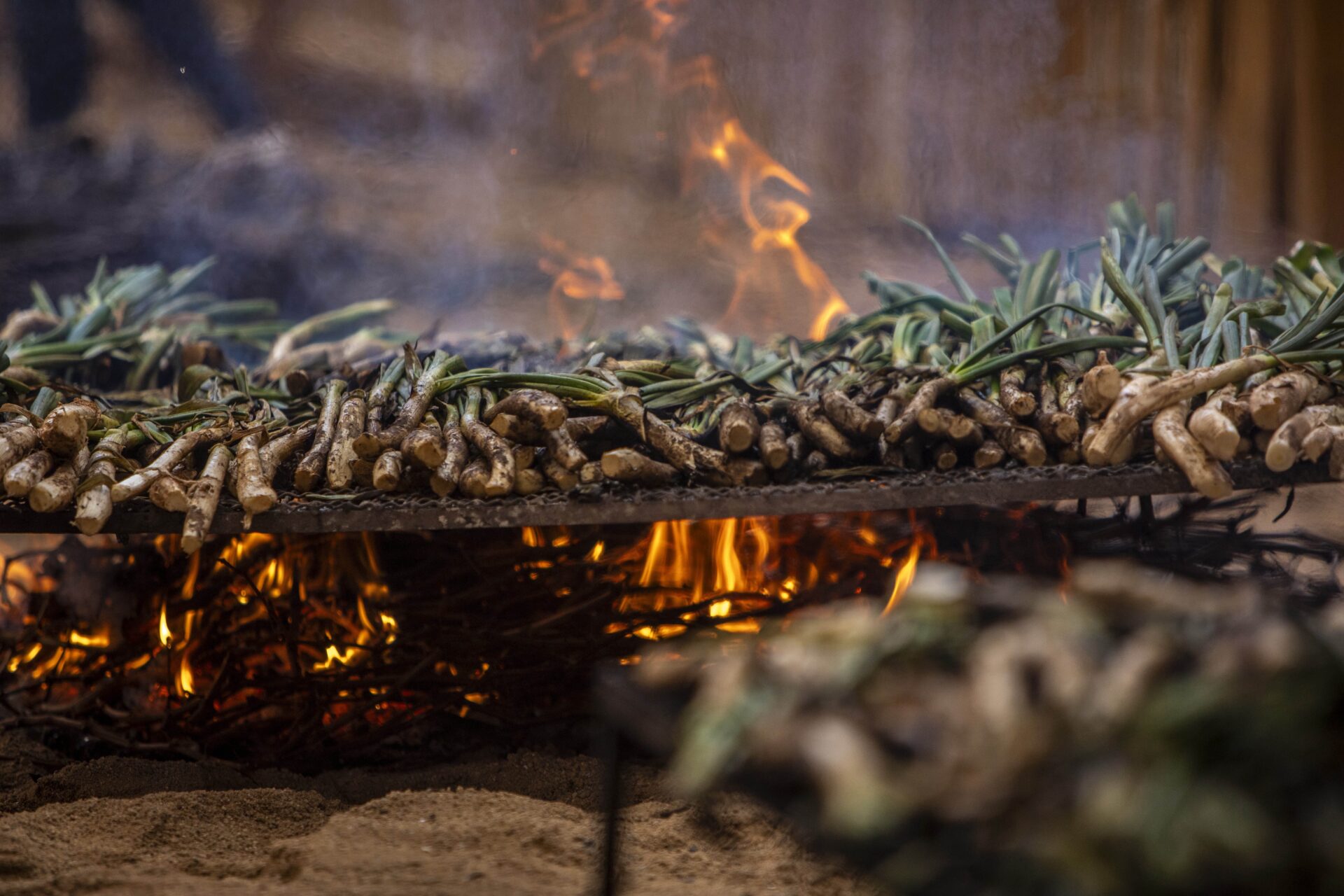 Fotos de la gran fiesta de la Calçotada a Valls 2024